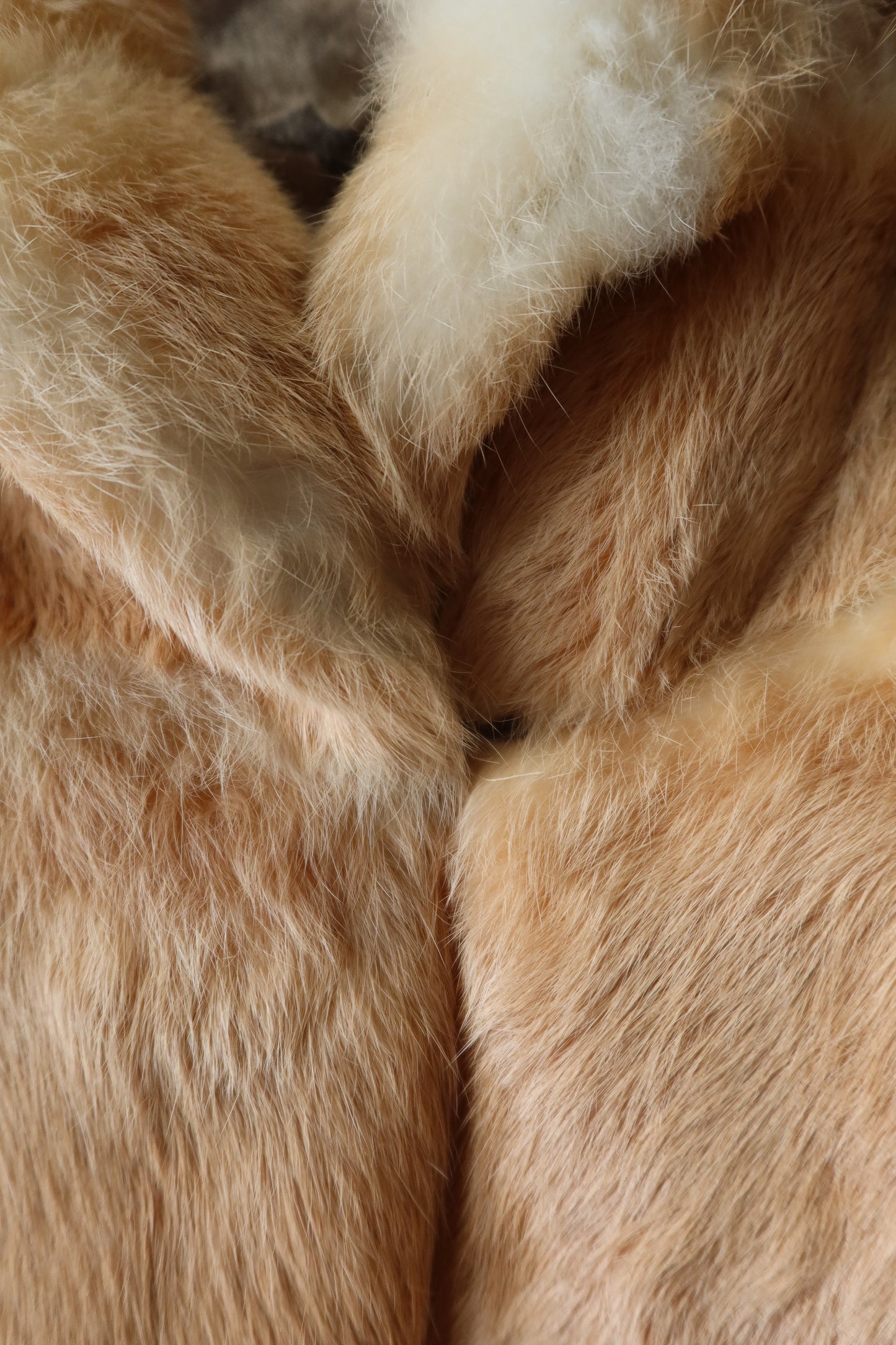 Manteau court en fourrure beige et crème